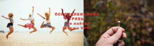 гидропоника Пролетарск
