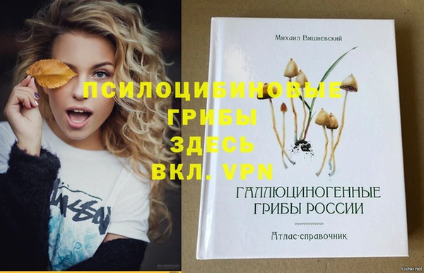 apvp Верхний Тагил